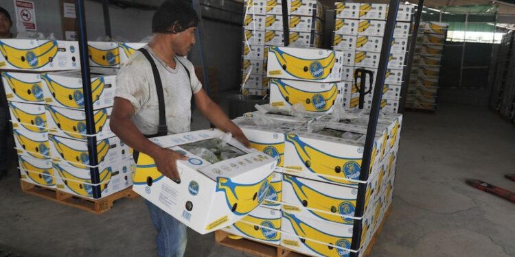 AMLO resalta creación de 10 mil empleos en México en primeros 5 días de agosto