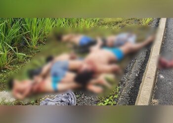 Encuentran 6 cuerpos sin vida en carretera de Tabasco