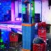 Estampida en discoteca de Perú deja 13 muertos