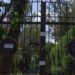 Así era la finca donde se escondía El Marro