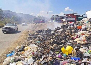 Denuncia Interpol aumento en el tráfico ilegal de basura plástica