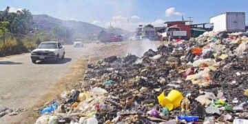 Denuncia Interpol aumento en el tráfico ilegal de basura plástica
