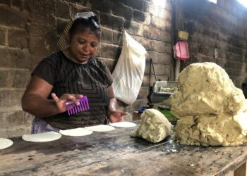 Comunidad zapoteca en San Blas Atempa privilegia uso de maíz nativo