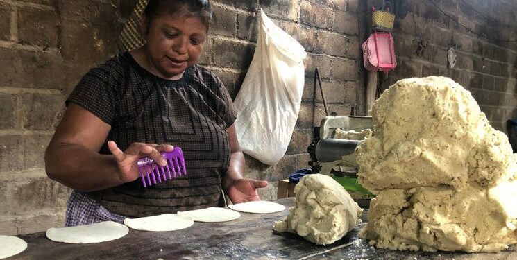 Comunidad zapoteca en San Blas Atempa privilegia uso de maíz nativo
