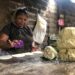 Comunidad zapoteca en San Blas Atempa privilegia uso de maíz nativo