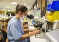 Diseñan molécula que retrasa progresión del parkinson