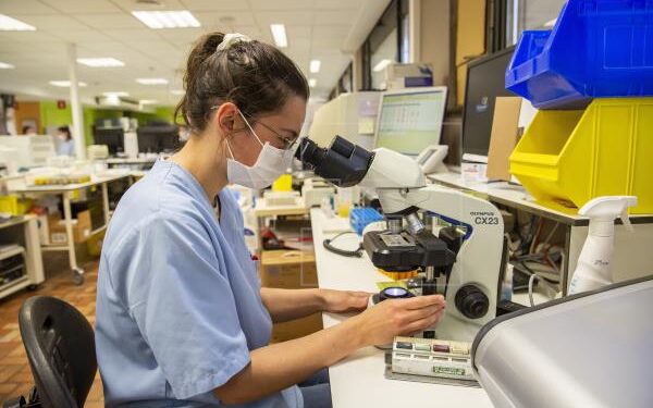 Diseñan molécula que retrasa progresión del parkinson