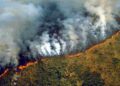 Incendios han consumido 10 por ciento de gran humedal en Brasil