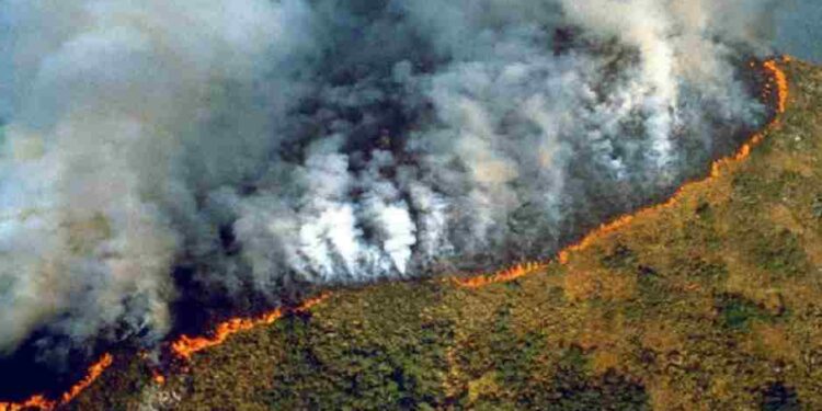 Incendios han consumido 10 por ciento de gran humedal en Brasil