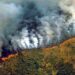 Incendios han consumido 10 por ciento de gran humedal en Brasil
