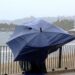 Onda tropical 24 provocará lluvias fuertes en Chiapas, Tabasco y Campeche
