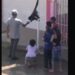 Dos monos sueltos sorprenden a habitantes de Tonala, Jalisco
