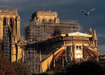 Comienzan a restaurar el gran órgano de la catedral de Notre-Dame en París