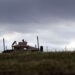 Enfrentamiento entre militares y sujetos armados deja nueve muertos en Tamaulipas