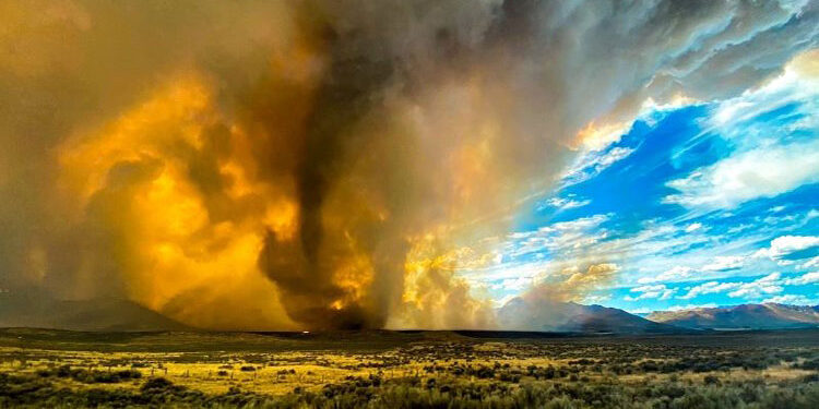 Tornado de fuego arrasa con el norte de California