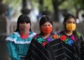 Chiapas y Campeche podrían ser los primeros estados en semáforo verde