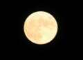 Cuándo y dónde ver la luna de maíz