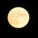 Cuándo y dónde ver la luna de maíz