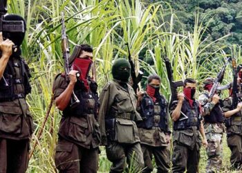 Guerrillas que siguen activas en América Latina