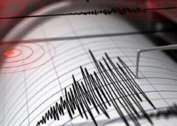 Chiapas registra sismo de 5.2, no se reportan daños