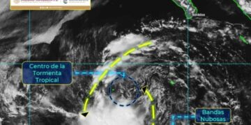 Se forma la tormenta tropical Lowell en el Océano Pacífico