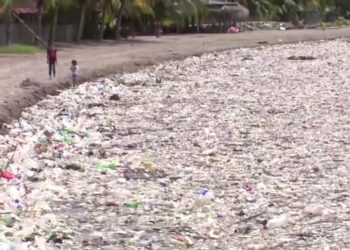 Un tsunami de basura inunda playas de Honduras