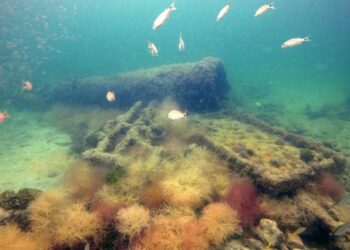 Identifica INAH al primer naufragio esclavista de mayas en México