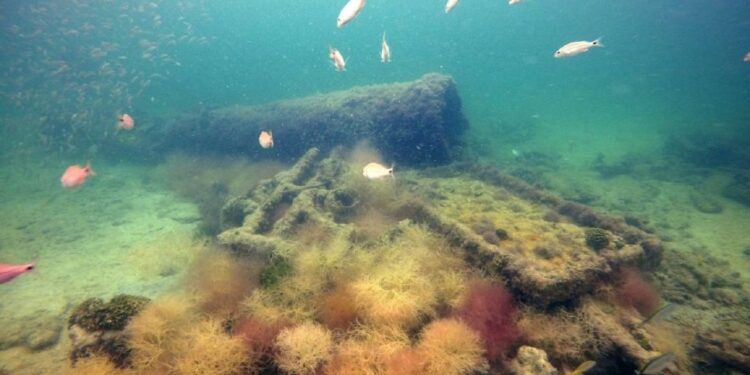 Identifica INAH al primer naufragio esclavista de mayas en México