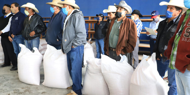 Más apoyos y obras para beneficio de zona rural