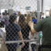 Acusan al servicio migratorio de EE.UU. de esterilizar a mujeres en centros de detención