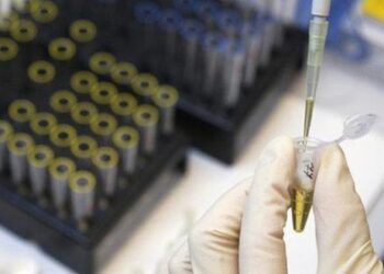 Vacuna de Johnson & Johnson produce una fuerte inmunidad contra el covid en pruebas iniciales
