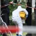 Encuentran cinco niños muertos en departamento; mamá sería culpable