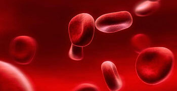 Hallazgo; información genética que predice enfermedades de la sangre