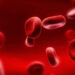 Hallazgo; información genética que predice enfermedades de la sangre