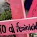 Homicidio doloso, feminicidios y violencia familiar aumentan en México: Durazo