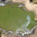 Bacteria en el agua mata más de 300 elefantes en Botsuana