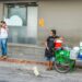 México alcanza los 71 mil 049 muertos por COVID19