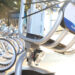 SLP estrena sistema de movilidad con bicicletas