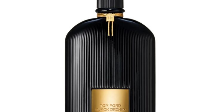 Los perfumes para el otoño ideales para llevar esta temporada