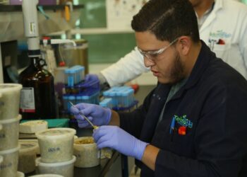 Cae demanda global de bienes y servicios por covid-19: INEGI