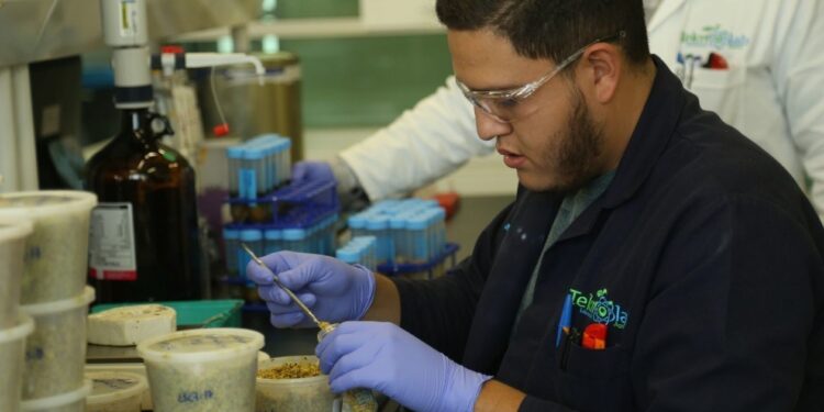 Cae demanda global de bienes y servicios por covid-19: INEGI