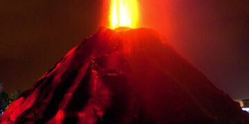 Se agota tiempo para evitar sexta extinción masiva: ONU