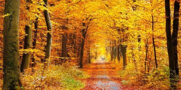 ¿Cuándo comienza el otoño este 2020?