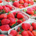 EU podría imponer aranceles a pimientos y fresas mexicanas