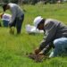 Programa Sembrando Vida beneficiará a 424 mil mexicanos