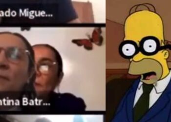 #Video Diputada finge estar en sesión virtual poniendo foto