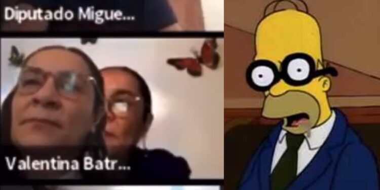 #Video Diputada finge estar en sesión virtual poniendo foto
