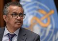 Nuevos virus animales podrían afectar a la población, advierte OMS