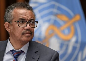 Nuevos virus animales podrían afectar a la población, advierte OMS