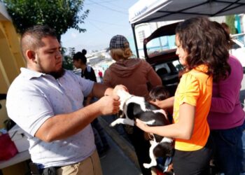 El continente americano está cerca de eliminar la rabia en humanos